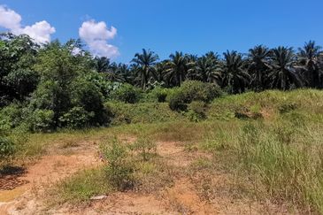 Agricultural land, facing main road, high visibility
