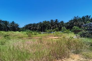Agricultural land, facing main road, high visibility