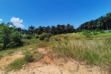 Agricultural land, facing main road, high visibility