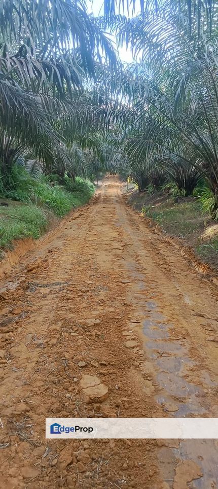 Mukim Senai @ Kulai 7acres Land for Sale, Johor, Kulai