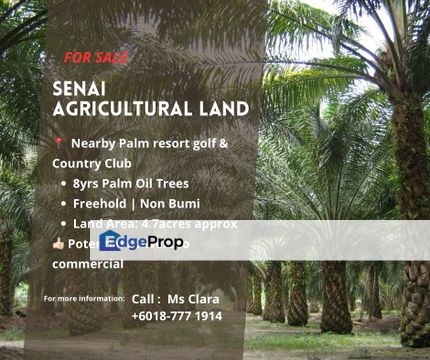 Senai  4.7acres Agriculture Land for Sale, Johor, Kulai