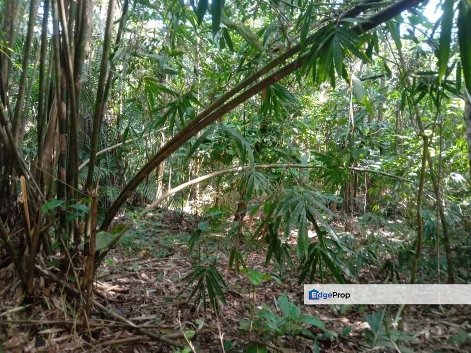 Kampung Pok, Gelang Patah Agricultural Land for Sale, Johor, Nusajaya