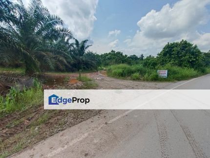 Bukit Batu 35 @ Johor Land for Sale, Johor, Kulai