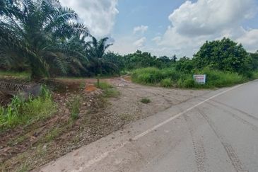 Bukit Batu 35 @ Johor Land for Sale