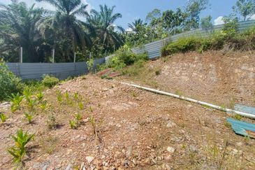 Bukit Batu 35 @ Johor Land for Sale