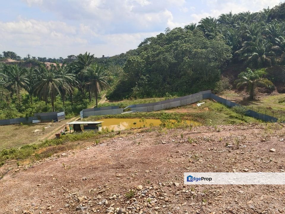 Bukit Batu 35 @ Johor Land for Sale, Johor, Kulai