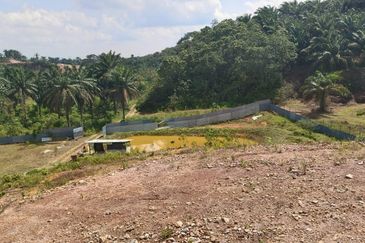 Bukit Batu 35 @ Johor Land for Sale