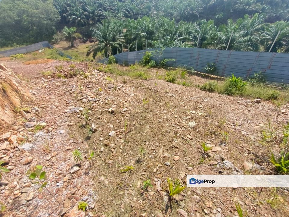 Bukit Batu 35 @ Johor Land for Sale, Johor, Kulai