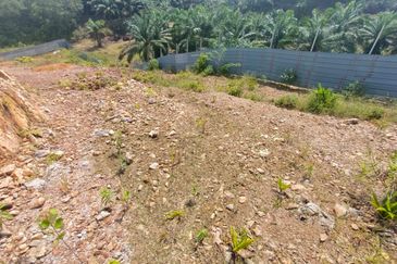 Bukit Batu 35 @ Johor Land for Sale