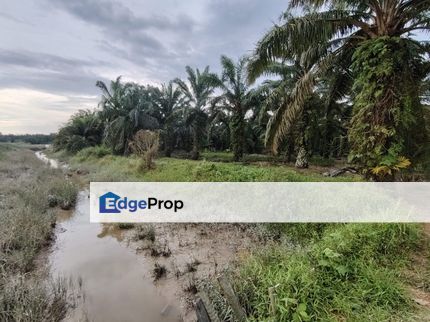 Ayer Baloi Pontian 6.7acres Oil Palm Land for Sale, Johor, Pontian