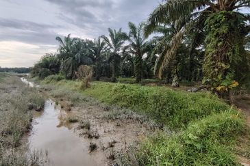 Ayer Baloi Pontian 6.7acres Oil Palm Land for Sale