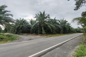 Pontian Agriculture Zoning Residential Land 2.1acres for Sale