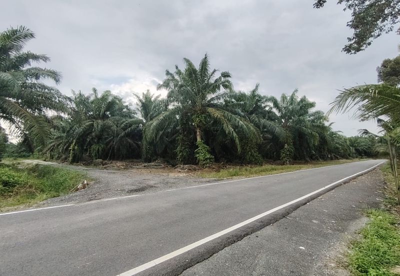 Pontian Agriculture Zoning Residential Land 2.1acres for Sale