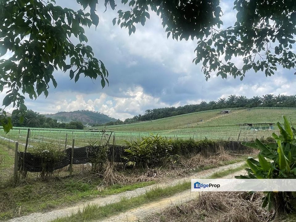 Kulai 4.12acres Agricultural Land for Sale, Johor, Johor Bahru