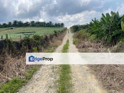 Kulai 4.12acres Agricultural Land for Sale, Johor, Johor Bahru