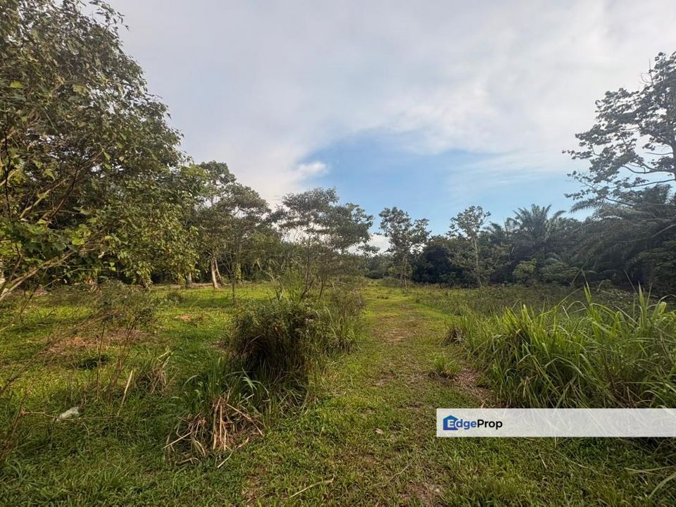 Penerok @ Pontian 1.8acres Land for Sale, Johor, Pontian