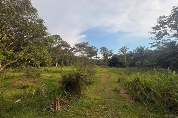 Penerok @ Pontian 1.8acres Land for Sale