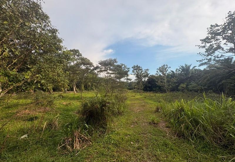 Penerok @ Pontian 1.8acres Land for Sale