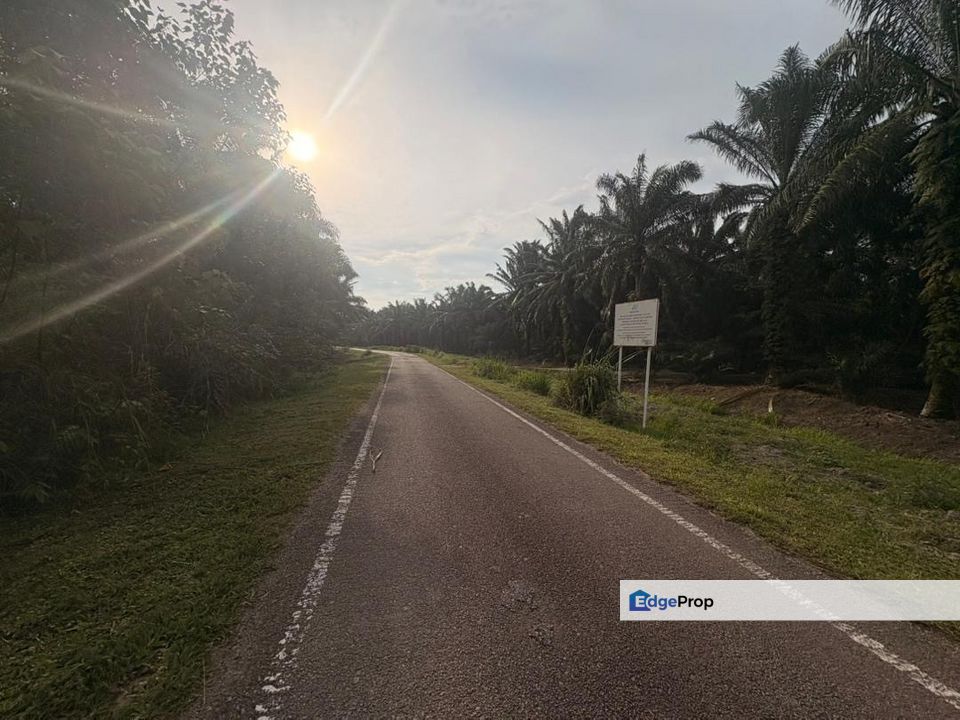 Penerok @ Pontian 1.8acres Land for Sale, Johor, Pontian