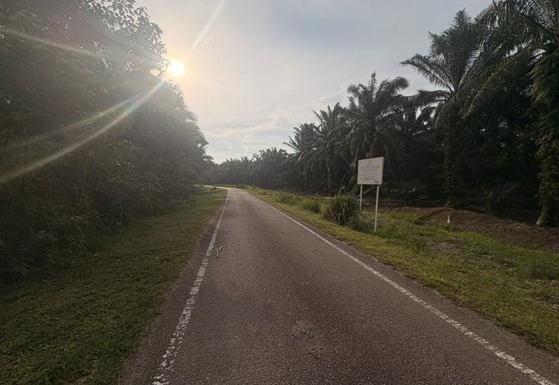 Penerok @ Pontian 1.8acres Land for Sale