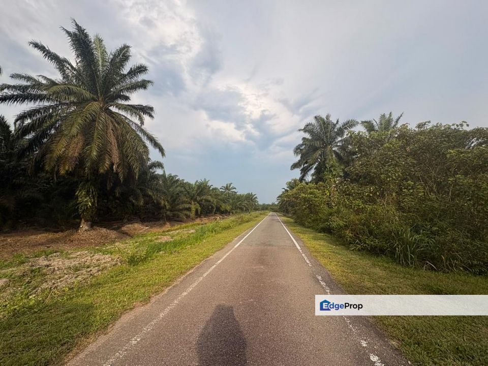 Penerok @ Pontian 1.8acres Land for Sale, Johor, Pontian