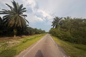 Penerok @ Pontian 1.8acres Land for Sale