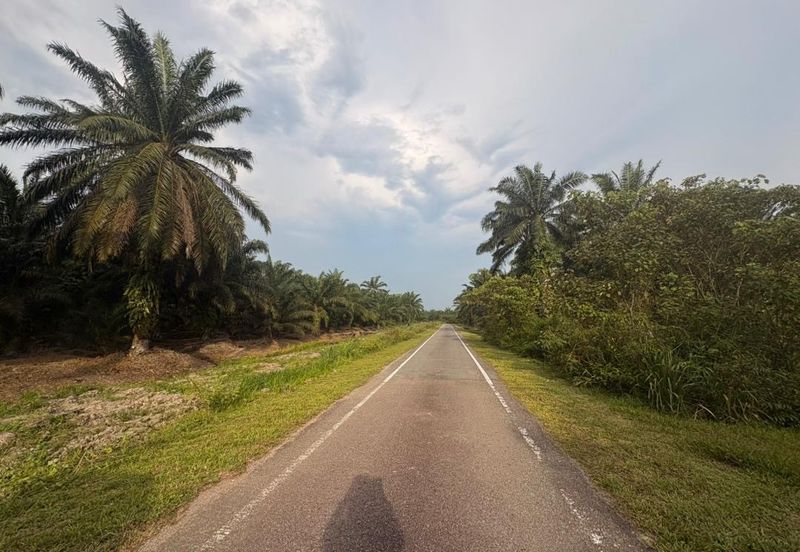 Penerok @ Pontian 1.8acres Land for Sale