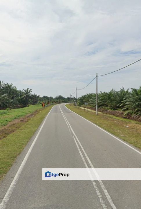 Ayer Baloi @ Pontian 6.59acres Agricultural Flat Land for Sale, Johor, Pontian