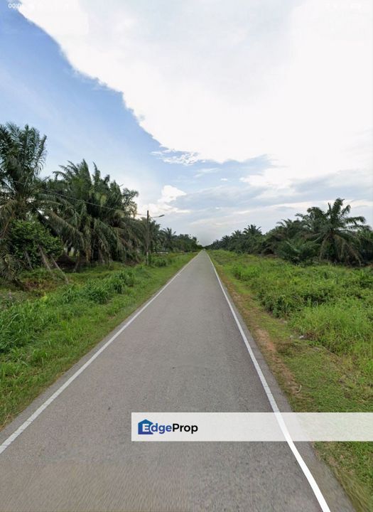 Ayer Baloi @ Pontian 6.59acres Agricultural Flat Land for Sale, Johor, Pontian