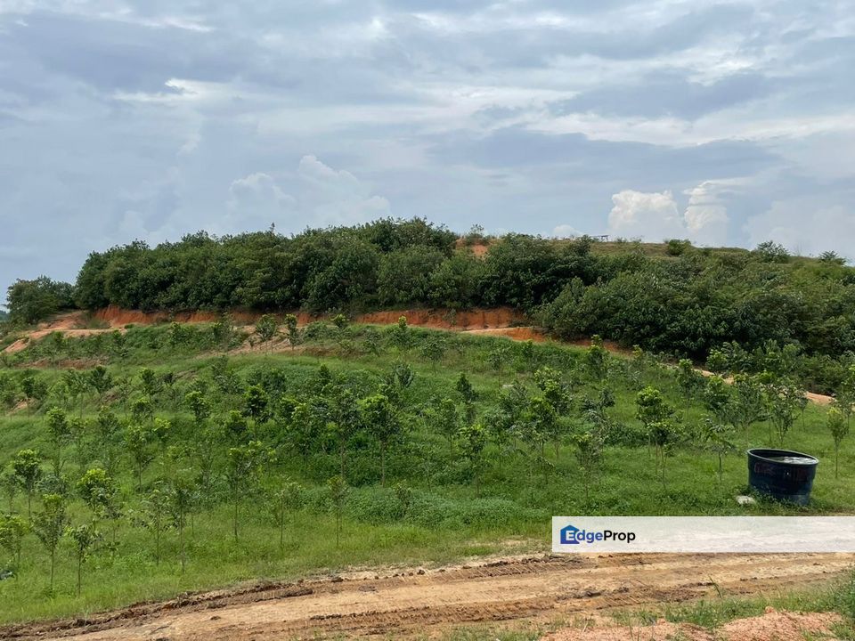 Taman Seelong @ Senai 16acres Agricultural Land for Sale, Johor, Kulai