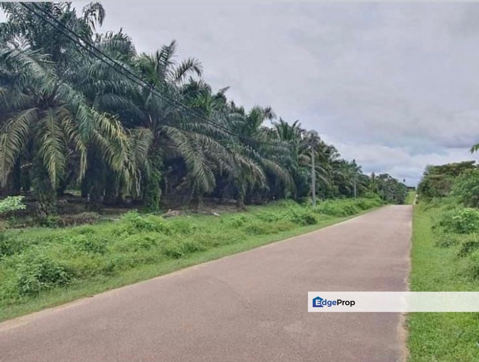 Kluang Zoning Residential Land 9.8acres for Sale, Johor, Kluang