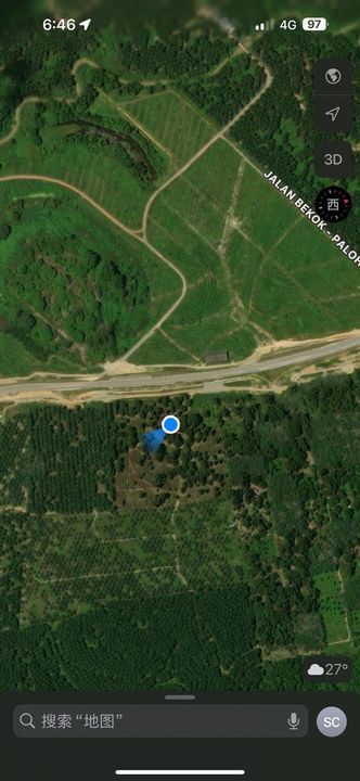 Paloh Kluang 6acres Durian Land for Sale, Johor, Kluang