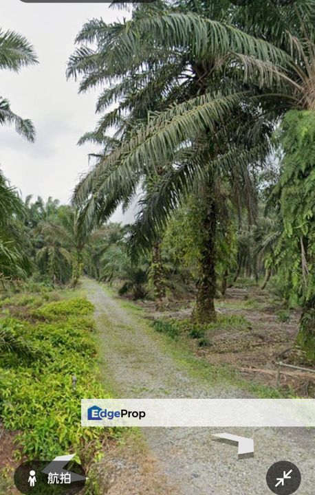 Jalan Parit Semerah, Kampung Parit Kudus @ Pontian 3.04acres Agricultural Land for Sale, Johor, Pontian