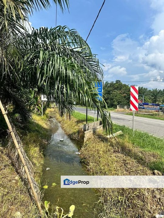 Jalan Parit Semerah, Kampung Parit Kudus @ Pontian 3.04acres Agricultural Land for Sale, Johor, Pontian