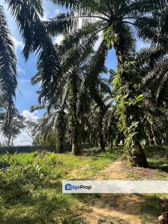 Mukim Tebrau | Desa Cemerlang 5 acres Freehold Industrial Land for Sale, Johor, Ulu Tiram