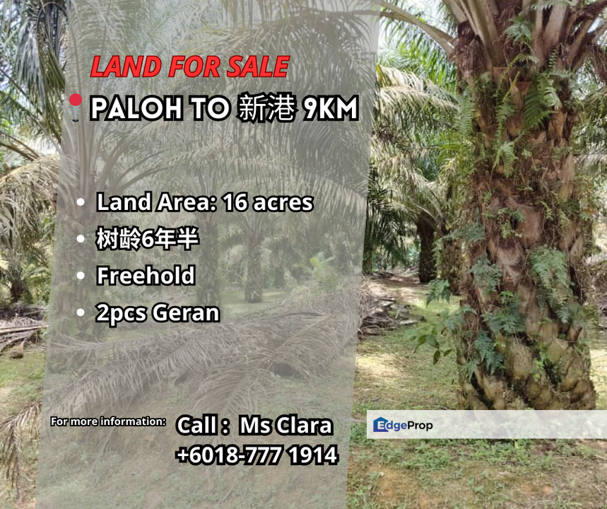 Paloh to Kangkar Baru 16acres Land for Sale, Johor, Kluang