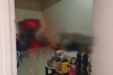 Austin Residence @Taman Mount Austin