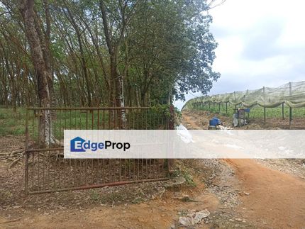 Sri Lalang Kluang 10acre Land for Sale, Johor, Kluang