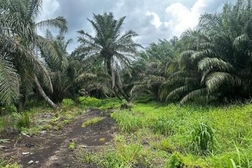 Kampung Sungai Ayer Hitam