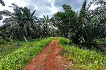 Kampung Sungai Ayer Hitam