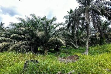 Kampung Sungai Ayer Hitam