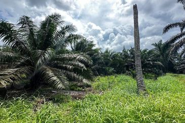 Kampung Sungai Ayer Hitam