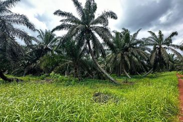 Kampung Sungai Ayer Hitam