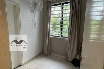 Siphonia @ Chemara Hills