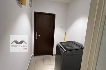 Siphonia @ Chemara Hills