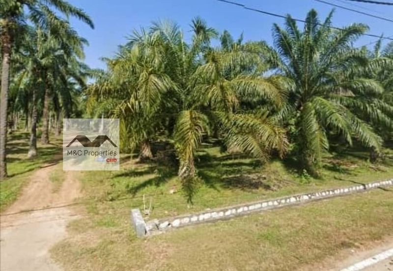 Agricultural Land 4.6166 Acres Kampung Kuala Lukut Chuah For Sale!!