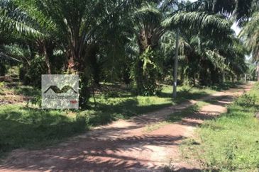 Agricultural Land 4.6166 Acres Kampung Kuala Lukut Chuah For Sale!!