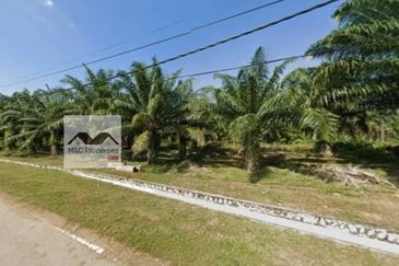 Agricultural Land 4.6166 Acres Kampung Kuala Lukut Chuah For Sale!!