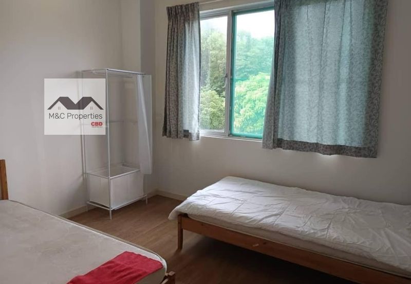 Siphonia @ Chemara Hills