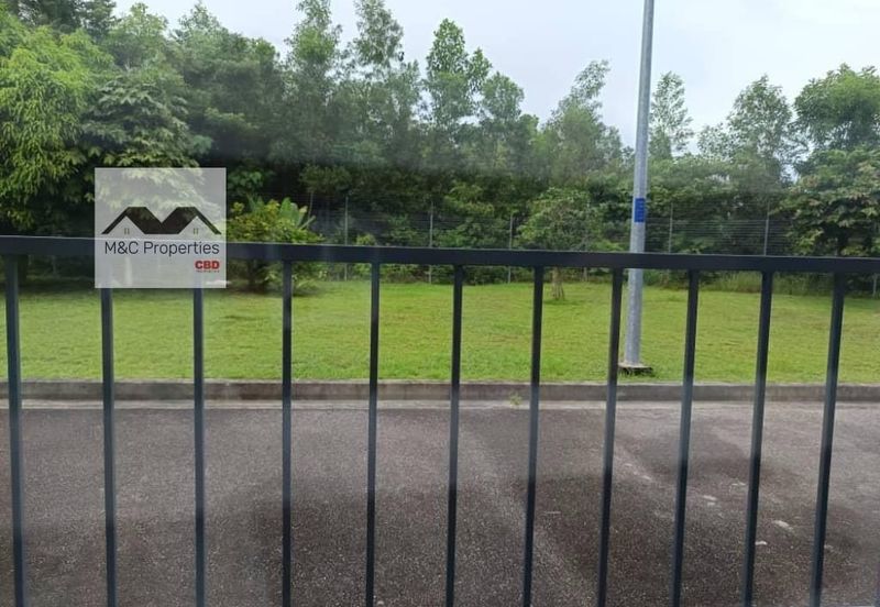 Siphonia @ Chemara Hills